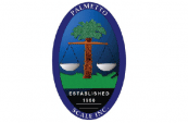 palmetto-icon-e1358861868891