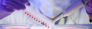 Life Sciences Industry