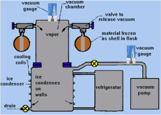 Capacitance Manometers for Use in Lyophilization (Freeze-drying) Processes 1