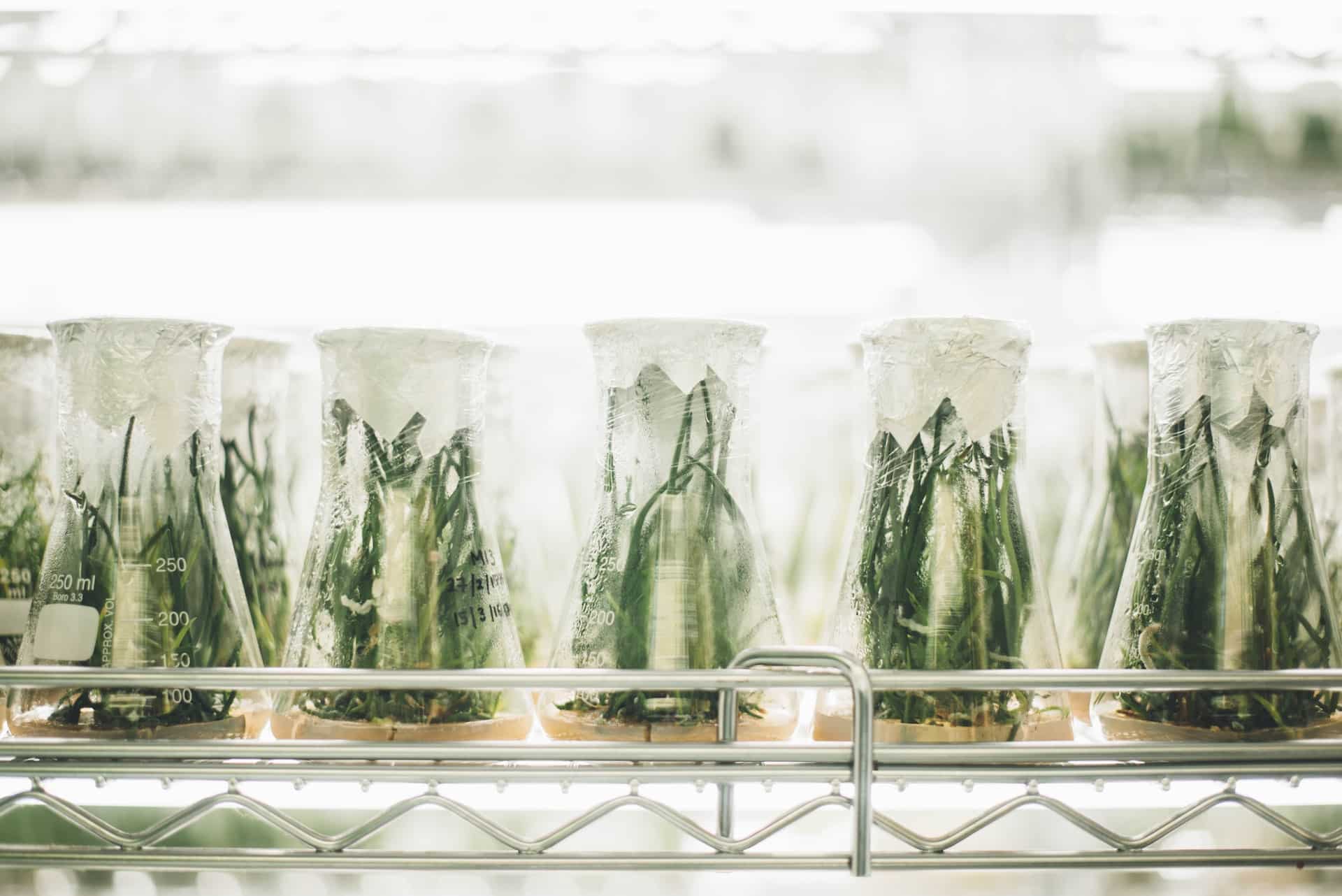 samples in an industrial refrigerator