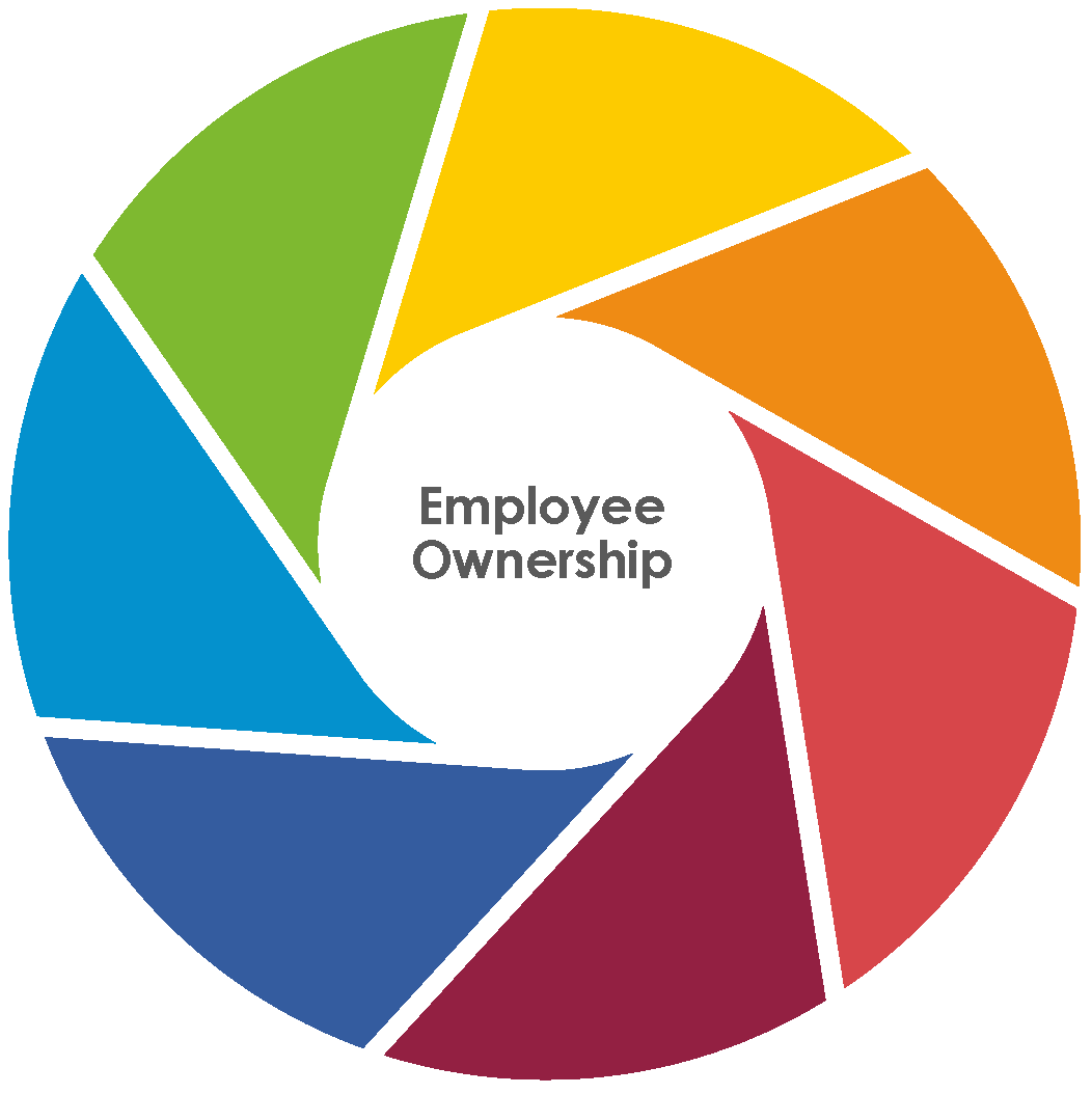 Cross Company Growth Stories and Spotlights 2