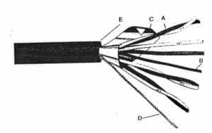 extension wire cable