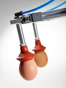 Food & Beverage Industry Newsletter - June 2024 6
