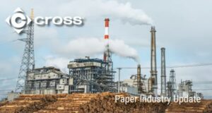 Pulp and Paper 19
