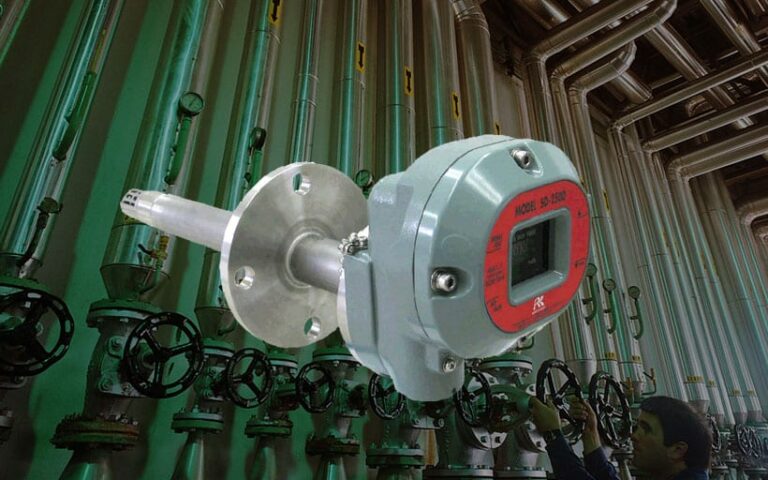 rki fixed and portable gas detectors