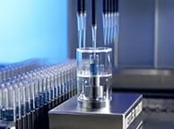 Metal Processing Industry Newsletter - February 2025 1