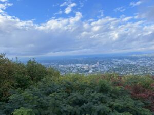 roanoke va