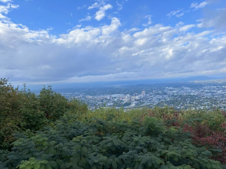 roanoke va