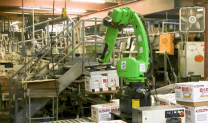 fanuc cobot for case packing industrial application
