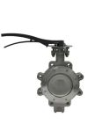 Apollo International™ 215 and 230 Series double offset high performance butterfly valve